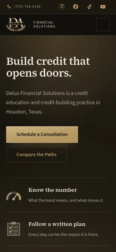 Delux Financial Solutions website preview